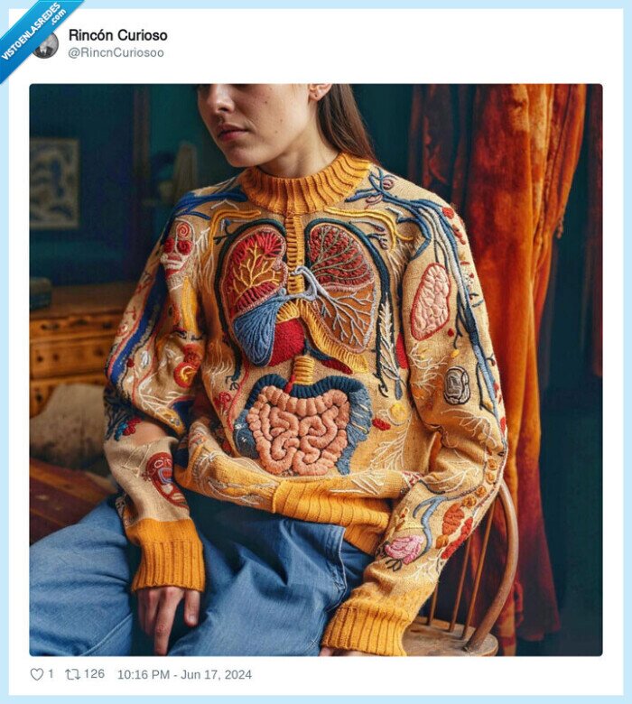 jersei,cuerpo humano,organos