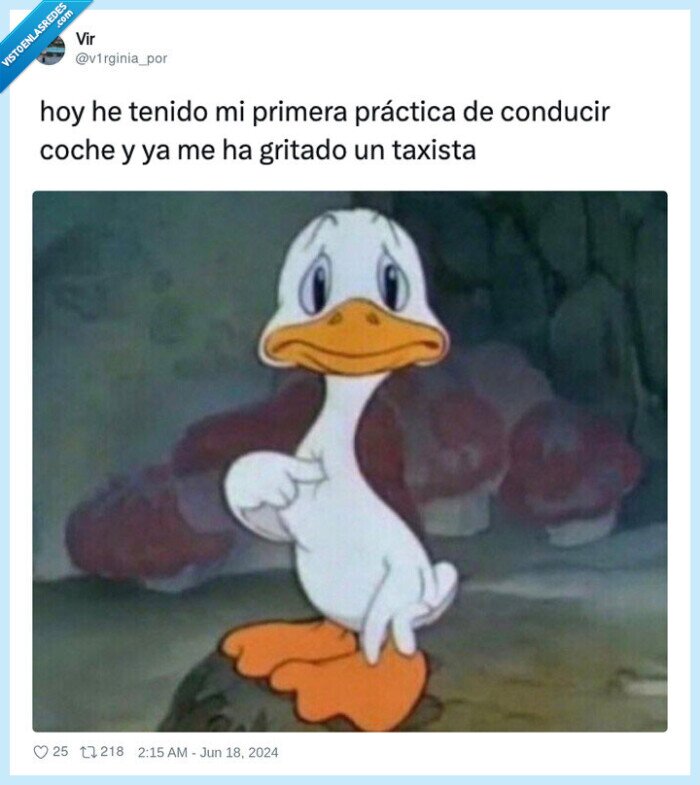 prácticas,coche,conducir,gritar,taxista