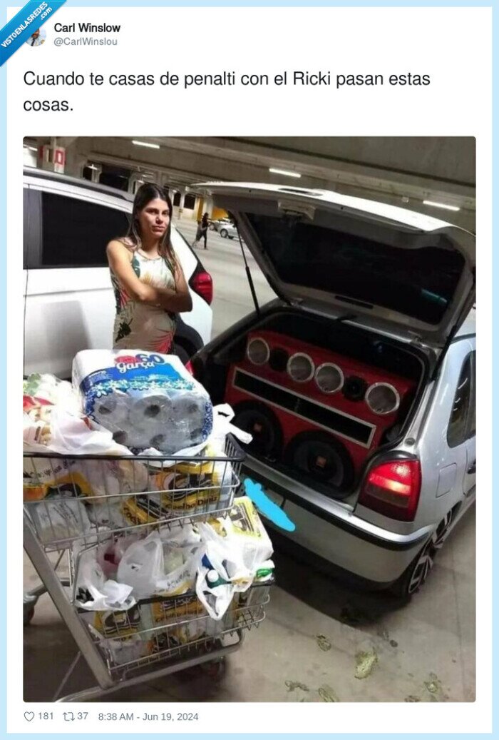 ricki,cani,altavoces,maletero,coche