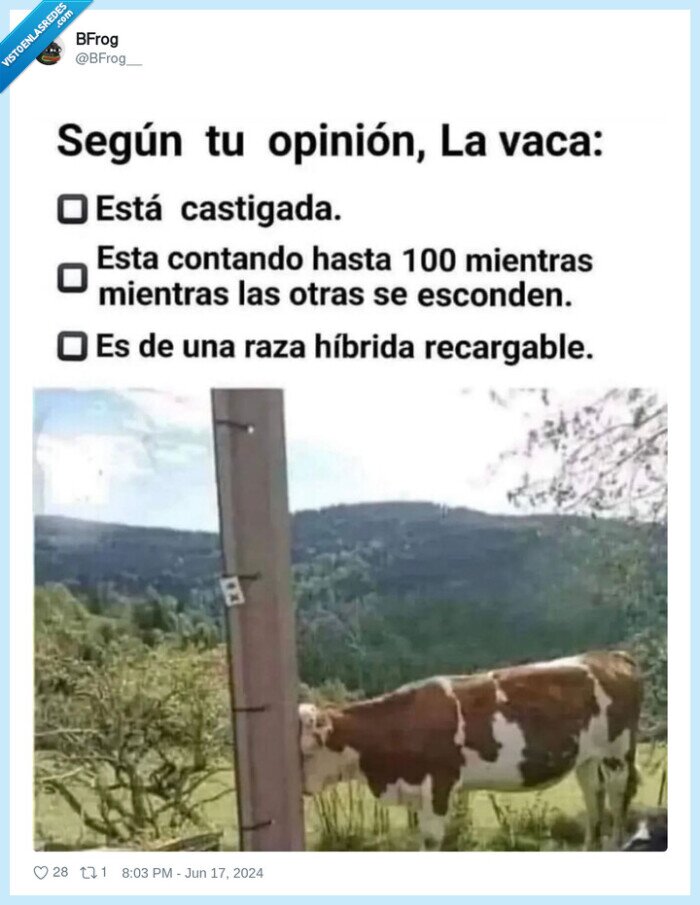 poste,vaca