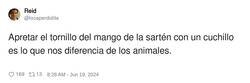 Enlace a Qué destornillador ni qué destornillador, por @locaperdidita