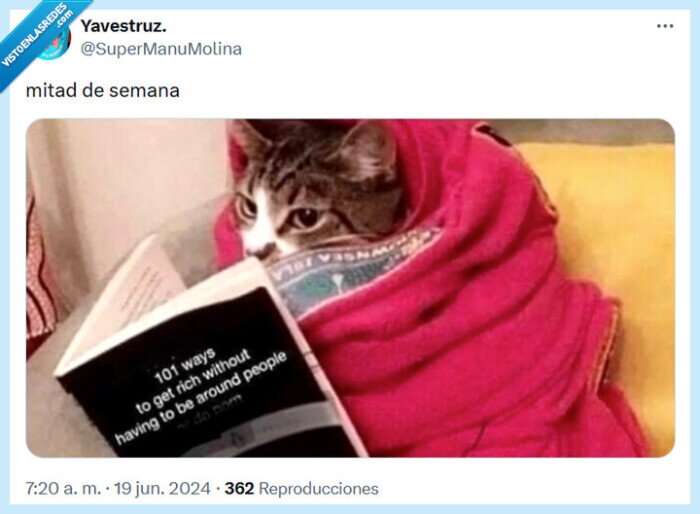 mitad,semana,personas