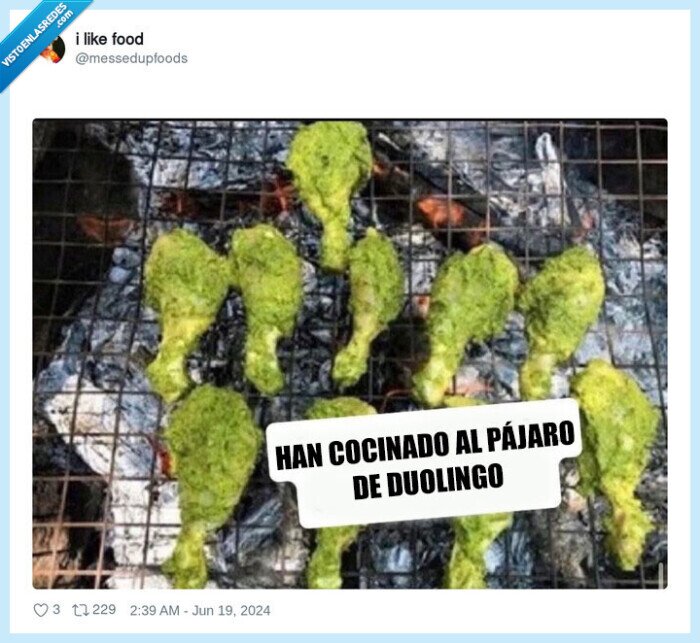 pájaro,duolingo,verde,patas