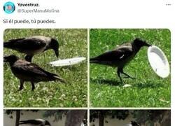 Enlace a No tienes excusa por @supermanumolina