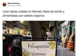 Enlace a ¿Peluquería vegana?, por @miramar_di29081