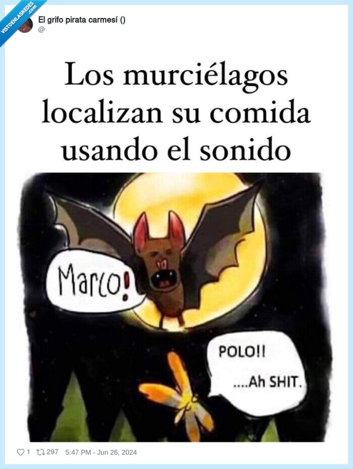 marco polo,juego,murcielago,comida,sonido