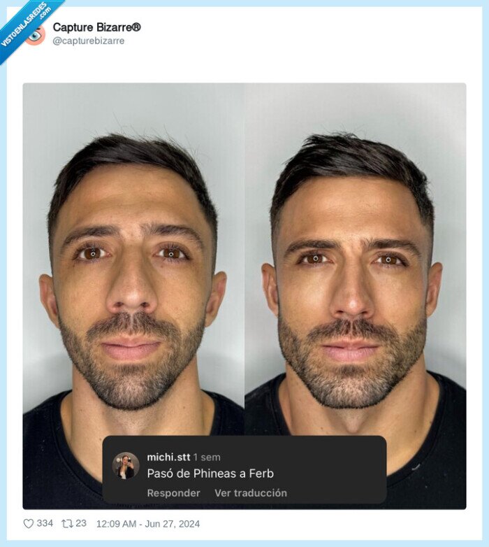 phineas,ferb,cambio,mandibula,operacion,hombre