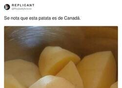 Enlace a Si has visto South Park sabes de lo que hablo, por @Roybattyforever