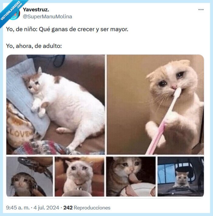 adulto,niño
