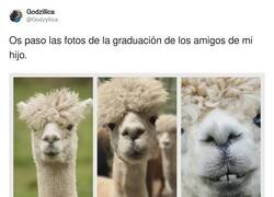 Enlace a Todos con el mismo peinado, por @Godzyllica