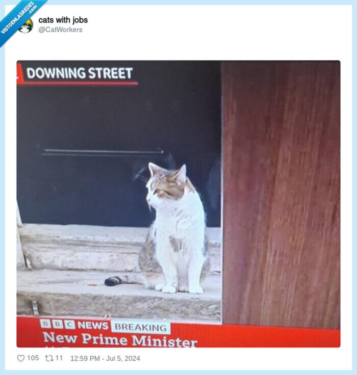 gato,primer ministro,uk