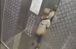 Enlace a Niño se mea en los botones del ascensor, qué creía que iba a pasar