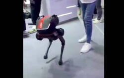 Enlace a Creo que soy el único al que le da pena ver cómo maltratan a este robot