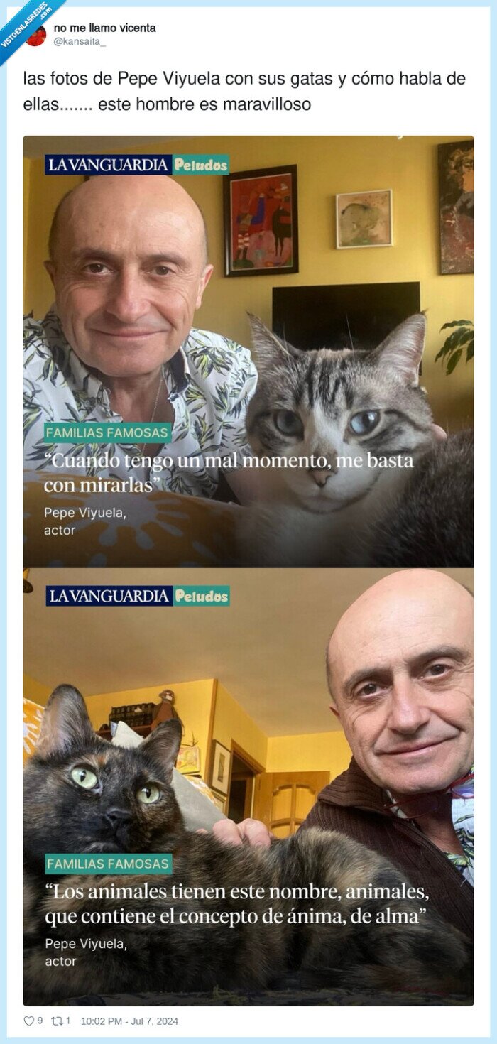 maravilloso,viyuela,fotos,gatas