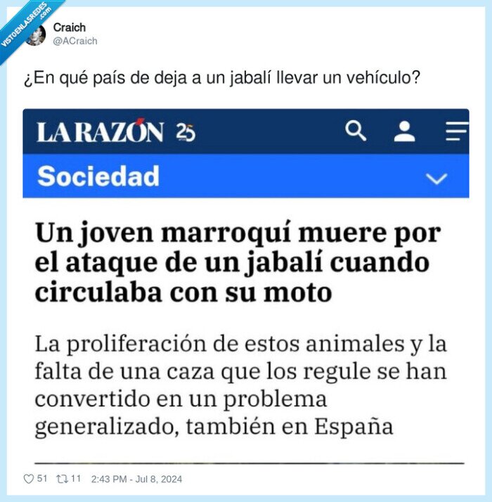 vehículo,jabalí,moto