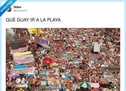Enlace a HAY QUE SER TONTO, por @nyconene