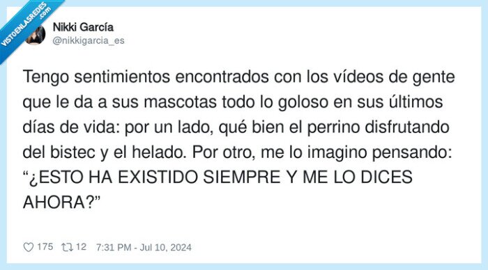 perros,disfrutar,golosinas,ultimos dias