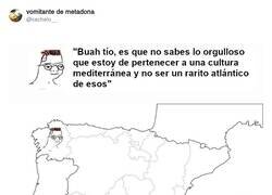 Enlace a Tienen de mediterráneo lo mismo que yo de nórdico, por @cachelo__