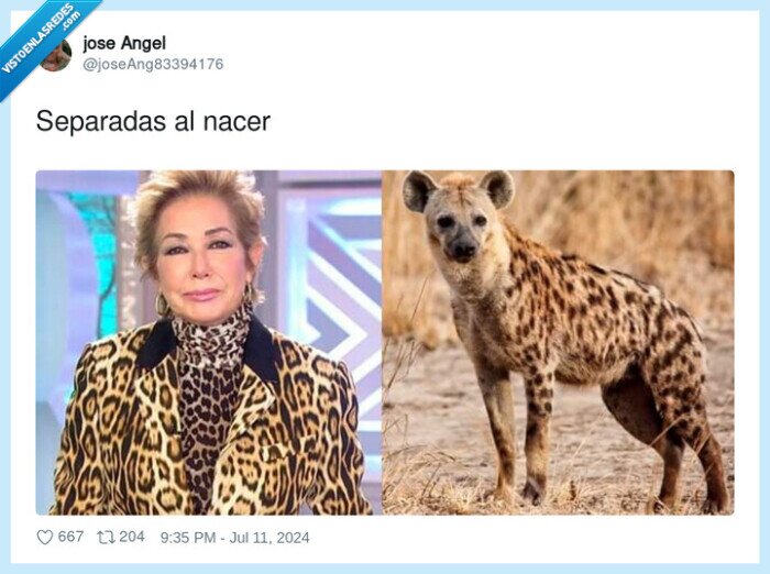 hiena,chaqueta,ana rosa quintana