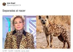 Enlace a No sabría decir cuál es más hiena, por @joseAng83394176