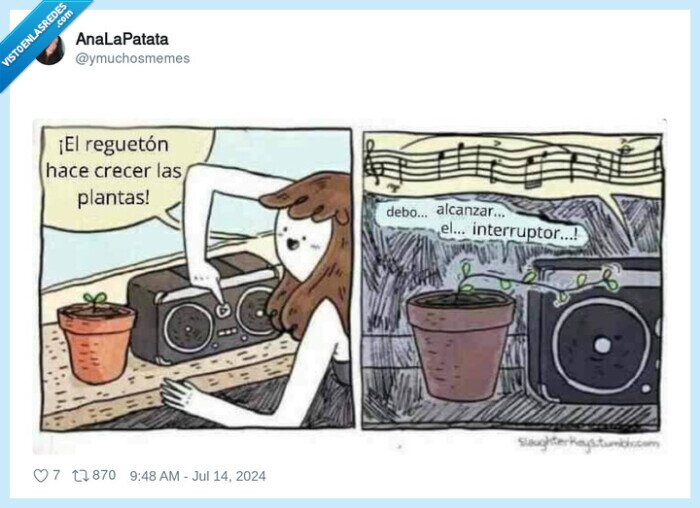 planta,reggaeton,sufrir,interruptor