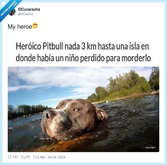 heroe,pitbull,nadar