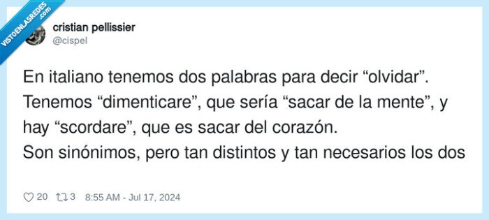 dimenticare,scordare,olvidar,sinónimos,italiano,distintos
