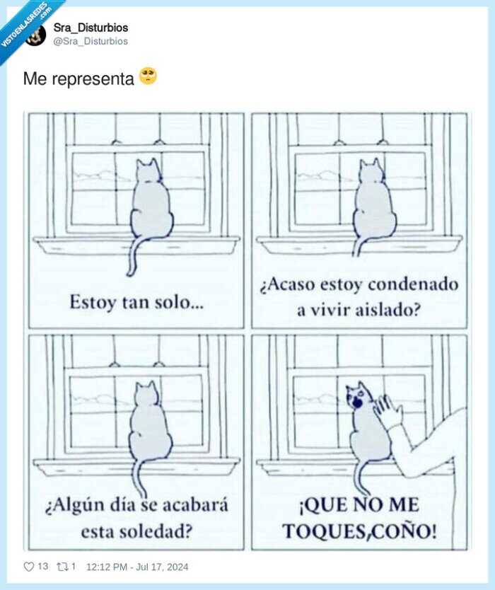 representar,gato,tocar