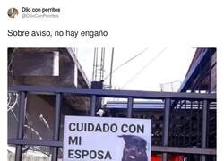 Enlace a Las broncas siempre se las debe llevar el perro, por @DiloConPerritos