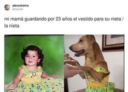 Enlace a No salió como esperaba, por @4ip4d3