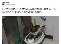 Enlace a Casas con un solo baño, por @MedinaRabasco