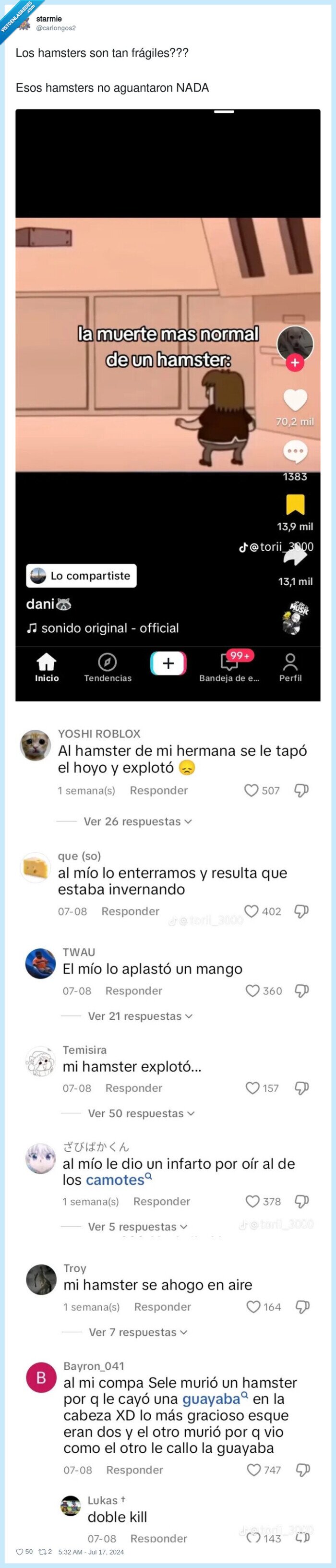 hamsters,dep,muerte,fragiles