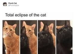 Enlace a Esta canción me la sé, por @PunchingCat