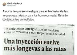 Enlace a Qué suerte, malditas ratas, por @Sanzot431