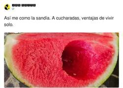 Enlace a Esto debe ser el máximo placer que puedes sentir como ser humano, por @DR_JohnSmith_