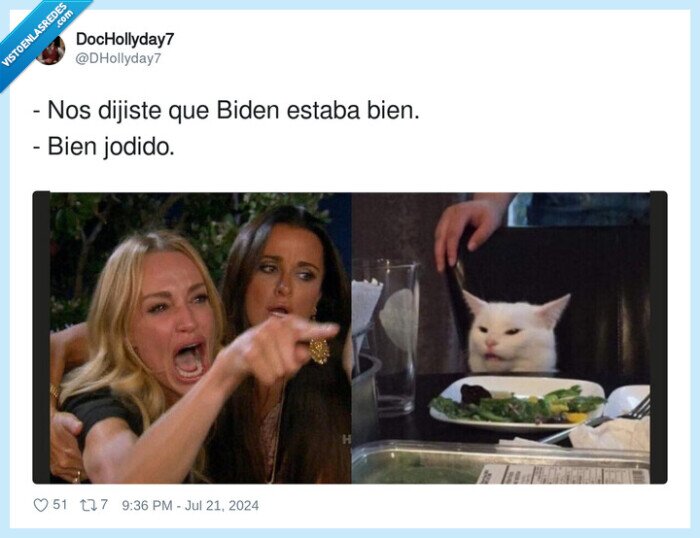 biden,gato,meme,jodida,usa