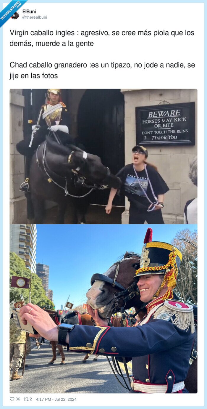 agresivo,granadero,mordida,caballo