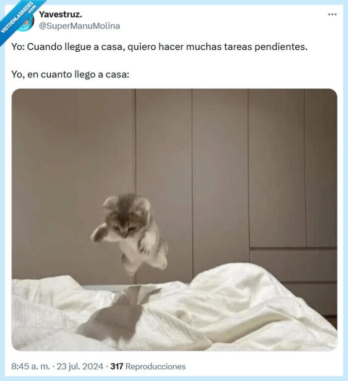 casa,tareas,pendientes