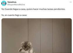 Enlace a Directo a la cama por @supermanumolina