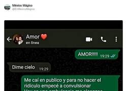 Enlace a Disimular hasta el final, por @EnMexicoMagico