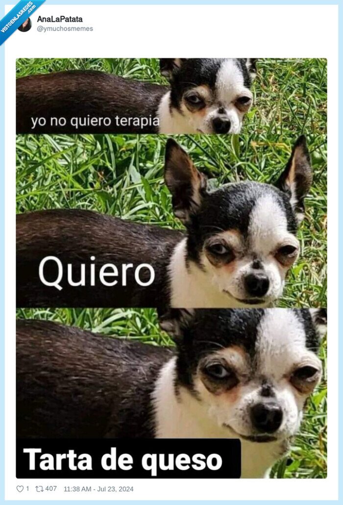 terapia,tarta de queso,perro