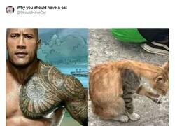 Enlace a Nacidos para estar juntos, por @ShouldHaveCat