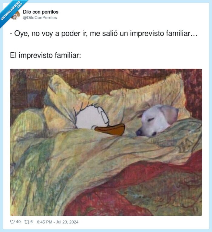 dormir,perro,imprevisto,familiar