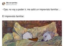 Enlace a Mi perrete es lo primero, por @DiloConPerritos