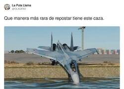 Enlace a Como un pajarillo bebiendo del estanque, por @OLAQFAS