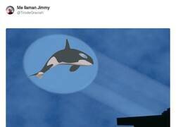 Enlace a Llamando a la Orca Gladys, por @TirodeGraciah