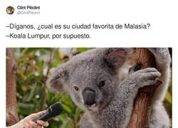 Enlace a Ciudad favorita de Malasia, por @ClintPiticlint