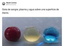Enlace a Gota de sangre, plasma y agua sobre una superficie de titanio, por @RincnCuriosoo