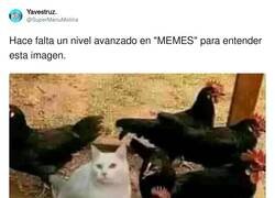 Enlace a La rubia y los negros por @supermanumolina