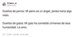 Enlace a Mi gato es el verdadero diablo, por @Sabrococo